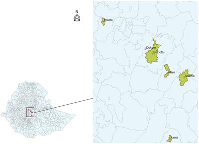 Status of animal health biosecurity measures of dairy farms in urban and peri-urban areas of central Ethiopia